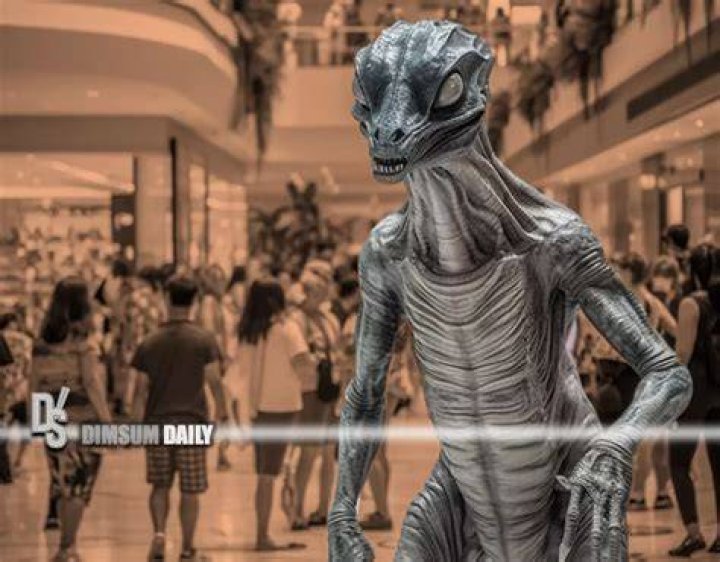 Aliens in Miami: Unveiling the Extraterrestrial Mystique