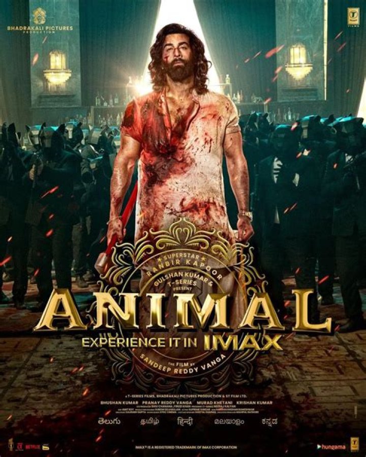 Bollyflix 300: The Ultimate Guide to Streaming Indian Cinema