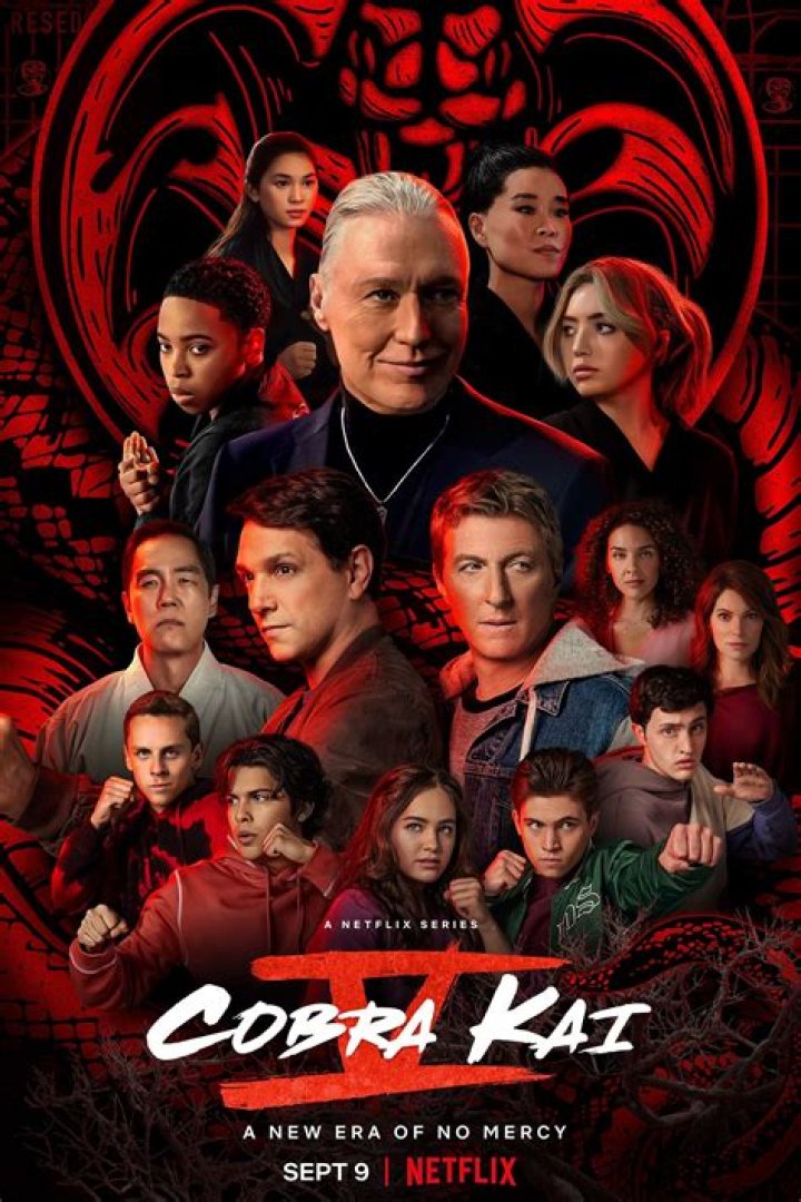 Cobra Kai Season 6 Release Date: What We Know So Far
