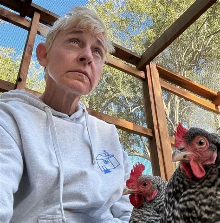 Cynthia Gibb: A Comprehensive Look at Her Life and Career
