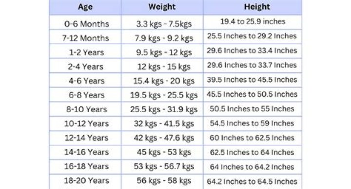 Discovering Blake Lively's Height and More