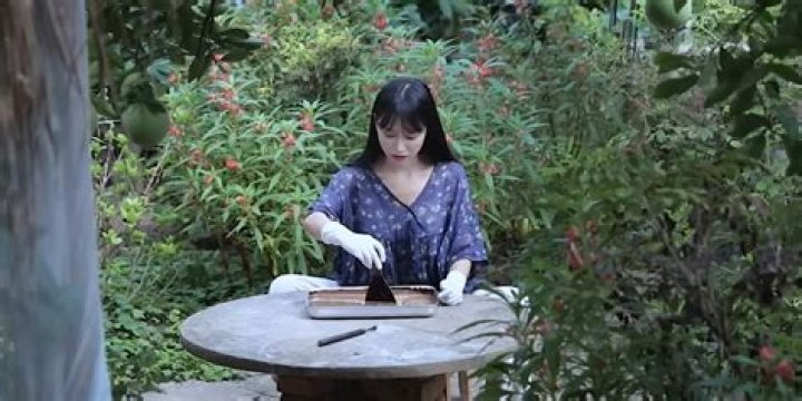 Exploring Li Ziqi Net Worth and Her Rise to Global Fame