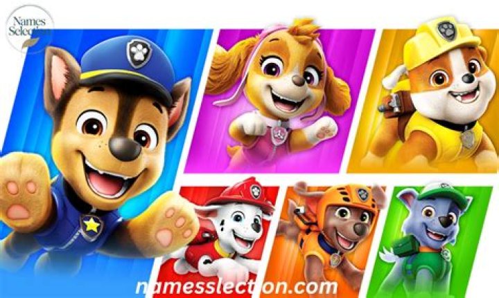 Exploring the Names of Pet Patrol Characters: A Comprehensive Guide