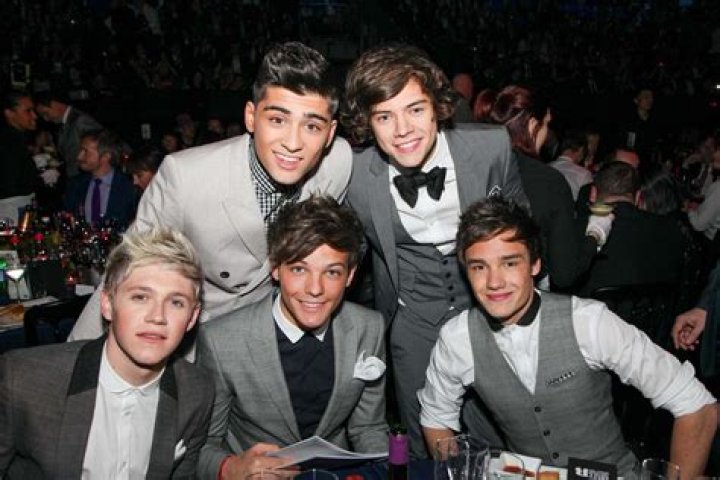 Five Former Members of One Direction: Harry, Zayn, Louis, Liam, and Niall