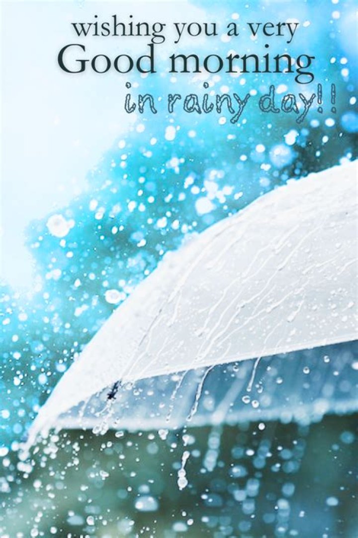 Good Morning Rain: The Beauty and Serenity of Rainy Mornings