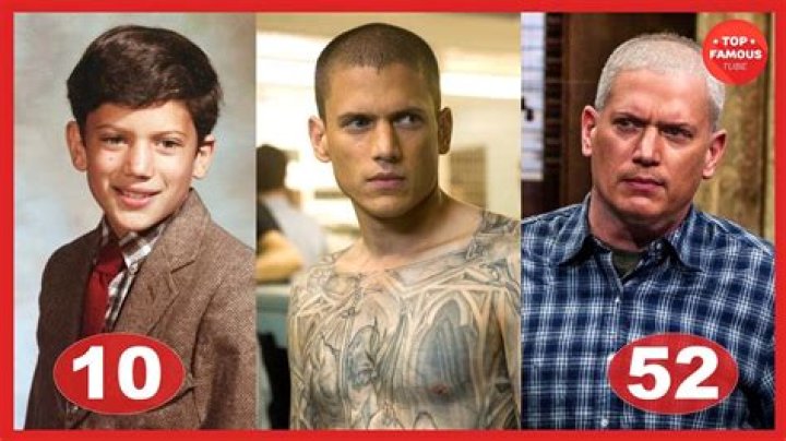 Is Wentworth Miller Married? A Deep Dive into the Life of the 'Prison Break' Star