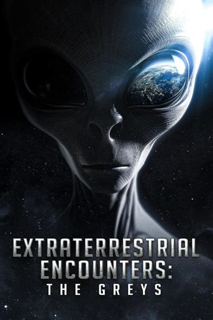Miami Alien: Unraveling the Mysteries of Extraterrestrial Encounters in Miami