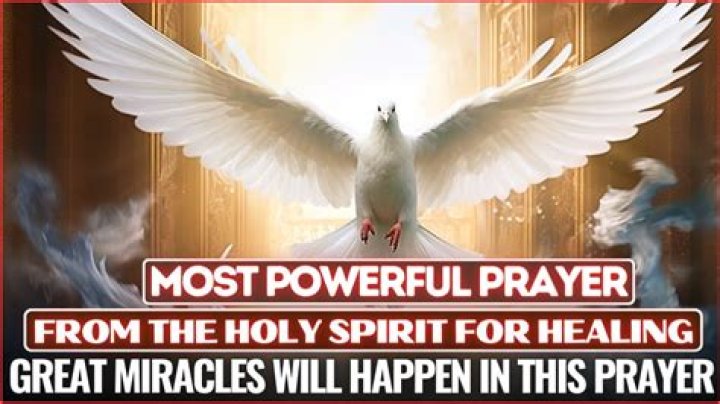 Powerful Prayer to the Gentle Lamb