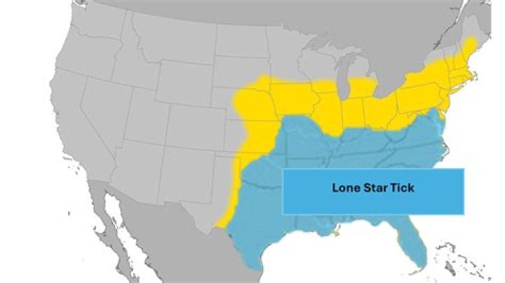Texas Football Stats: A Comprehensive Overview of the Lone Star State's Passion for the Game