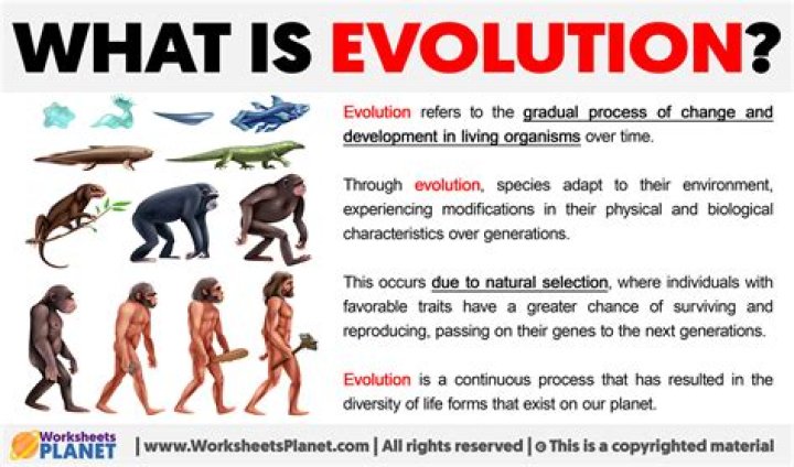 Understanding Evolution Piercing: The Trend Transforming Body Art