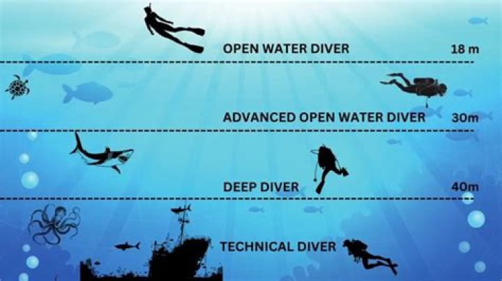 Understanding Scuba Steph Leaks: A Comprehensive Analysis