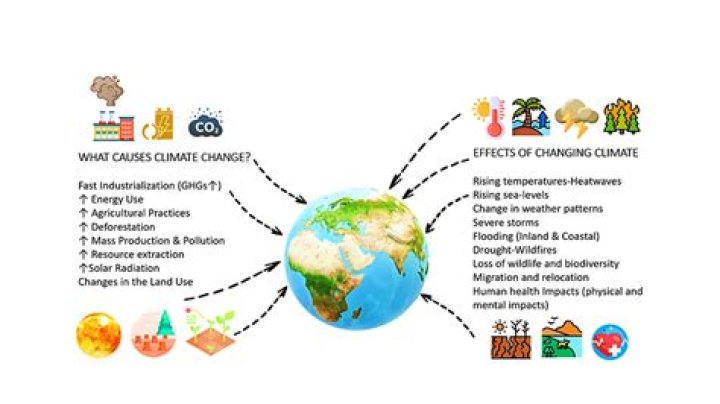Understanding the Phenomenon of Hunger: Causes, Effects, and Solutions