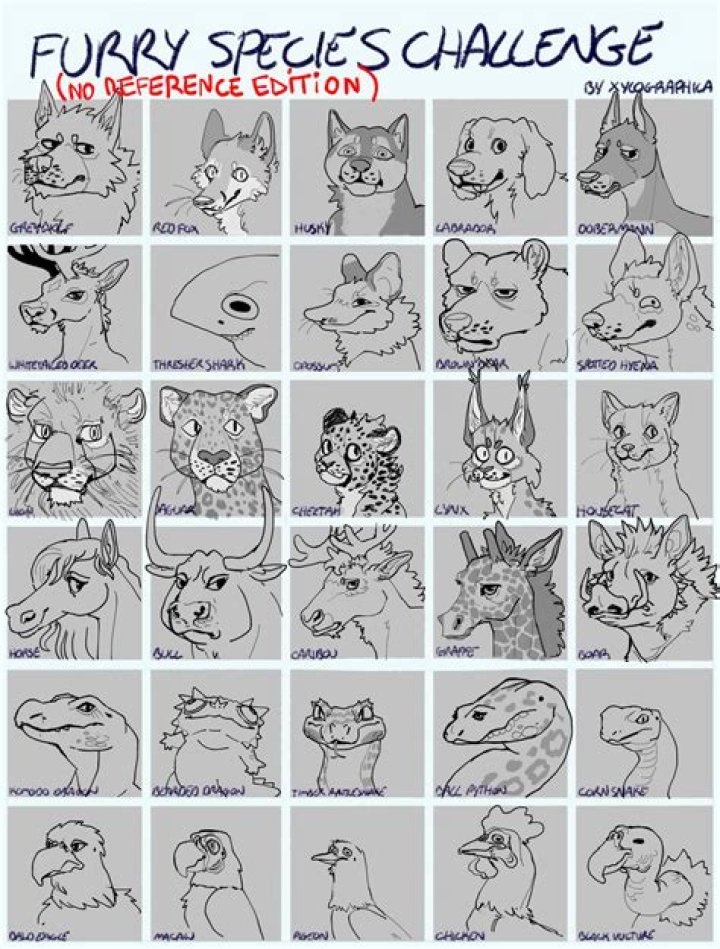 Understanding Yiff: A Comprehensive Guide to Furry Fandom