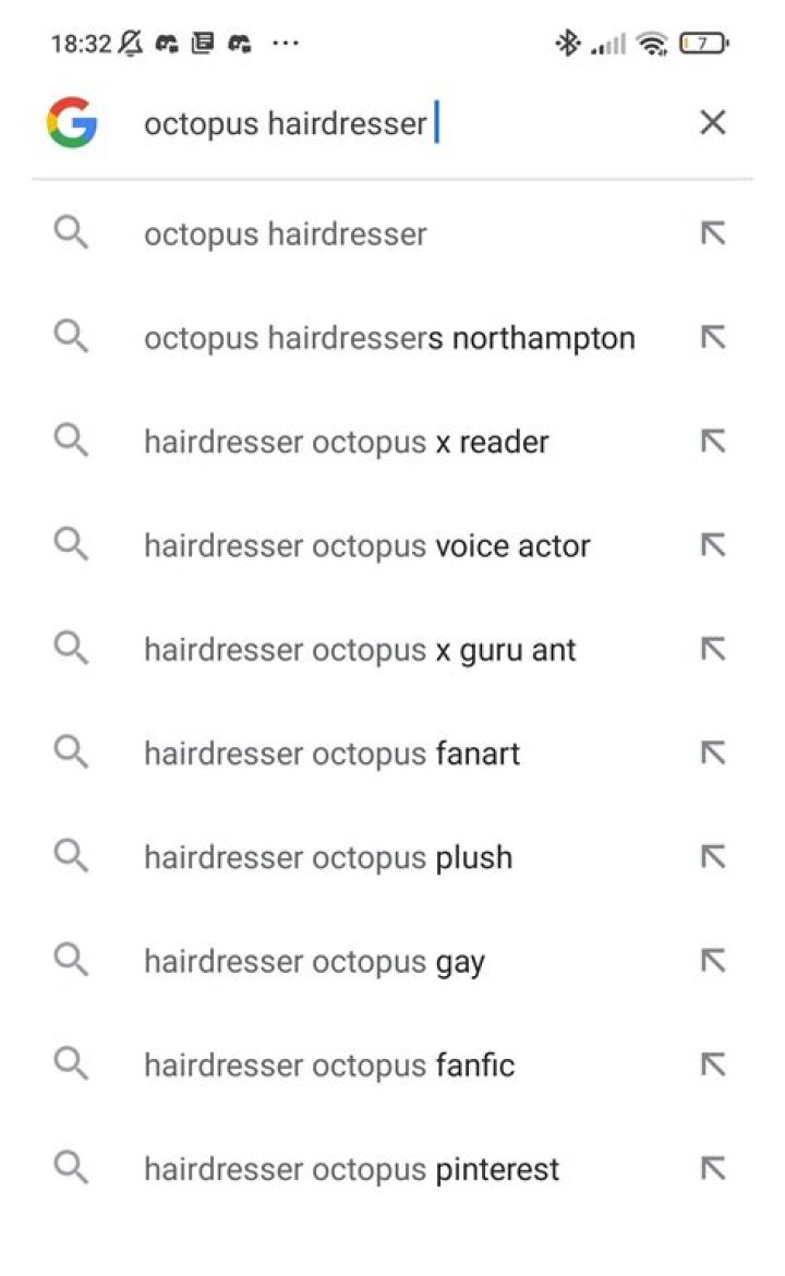 Unveiling the Enigmatic World of the Octopus Hairdresser
