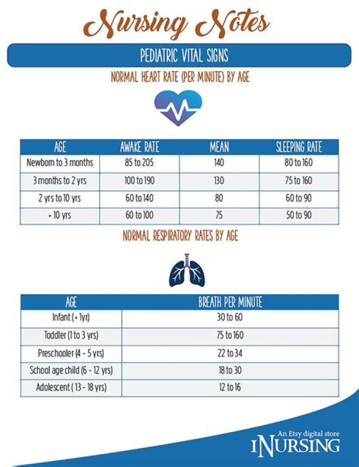What is the Average Respiration Rate?