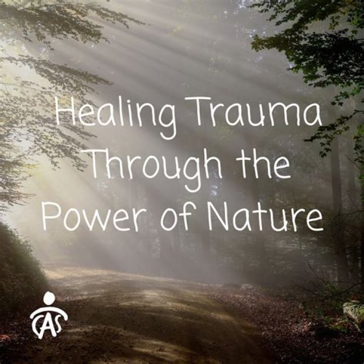 Wingate Wilderness Therapy: A Comprehensive Guide to Healing Through Nature