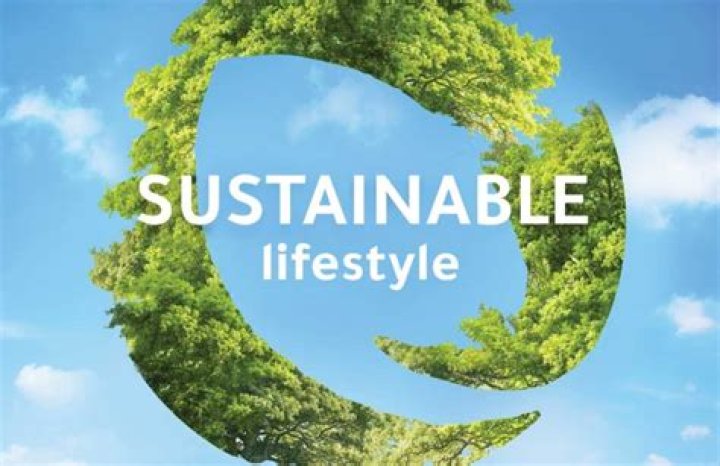 Wootlity: The Ultimate Guide to a Sustainable Lifestyle